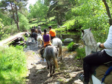 Randonnée équestre en Lozère (Margeride) - Randocheval