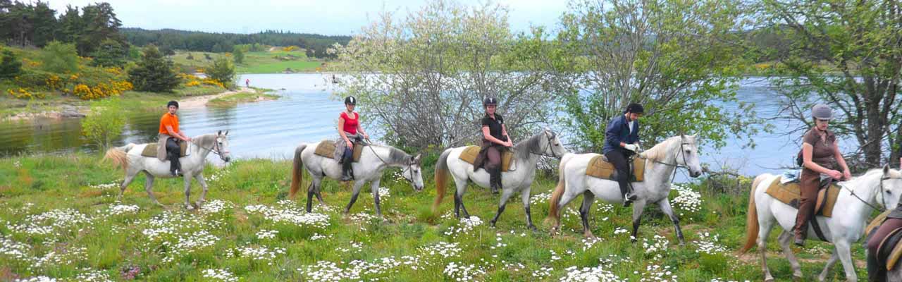 Voyage à cheval en Lozère - Randonnée équestre organisée par Randocheval