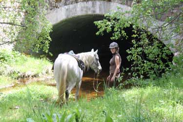 Voyage à cheval en Lozère - Randonnée équestre organisée par Randocheval