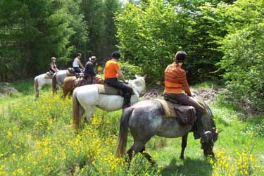 Voyage à cheval en Lozère - Randonnée équestre organisée par Randocheval