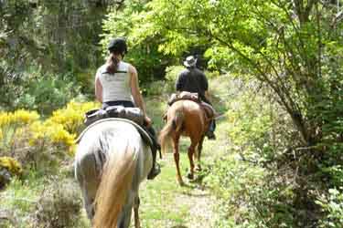 Voyage à cheval en Lozère - Randonnée équestre organisée par Randocheval