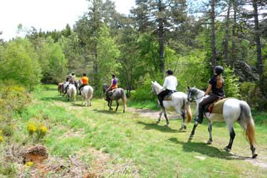 Voyage à cheval en Lozère - Randonnée équestre organisée par Randocheval