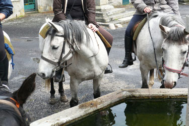 Voyage à cheval en Lozère - Randonnée équestre organisée par Randocheval