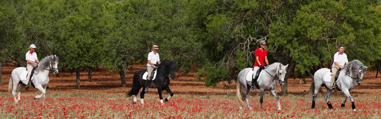 Voyage à cheval aux Baléares à Majorque - Randonnée équestre organisée par Randocheval