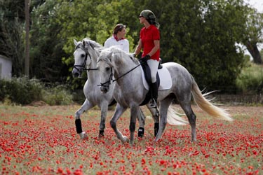 Voyage à cheval aux Baléares à Majorque - Randonnée équestre organisée par Randocheval