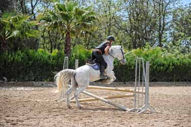 Voyage à cheval aux Baléares à Majorque - Randonnée équestre organisée par Randocheval