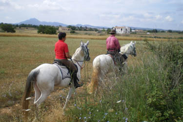 Voyage à cheval aux Baléares à Majorque - Randonnée équestre organisée par Randocheval