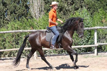 Voyage à cheval aux Baléares à Majorque - Randonnée équestre organisée par Randocheval