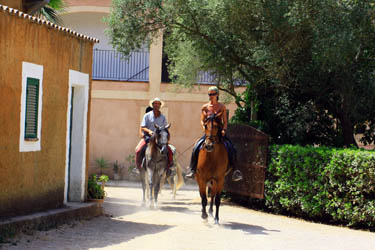 Voyage à cheval aux Baléares à Majorque - Randonnée équestre organisée par Randocheval