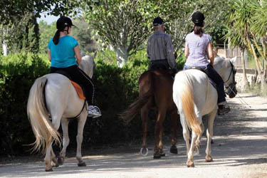 Voyage à cheval aux Baléares à Majorque - Randonnée équestre organisée par Randocheval