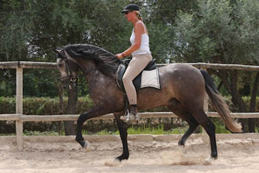 Voyage à cheval aux Baléares à Majorque - Randonnée équestre organisée par Randocheval