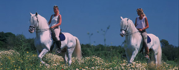 Voyage à cheval aux Baléares à Majorque - Randonnée équestre organisée par Randocheval