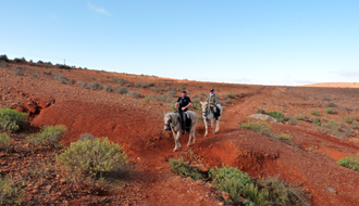 Randonnée équestre au Maroc en séjour endurance - RANDOCHEVAL