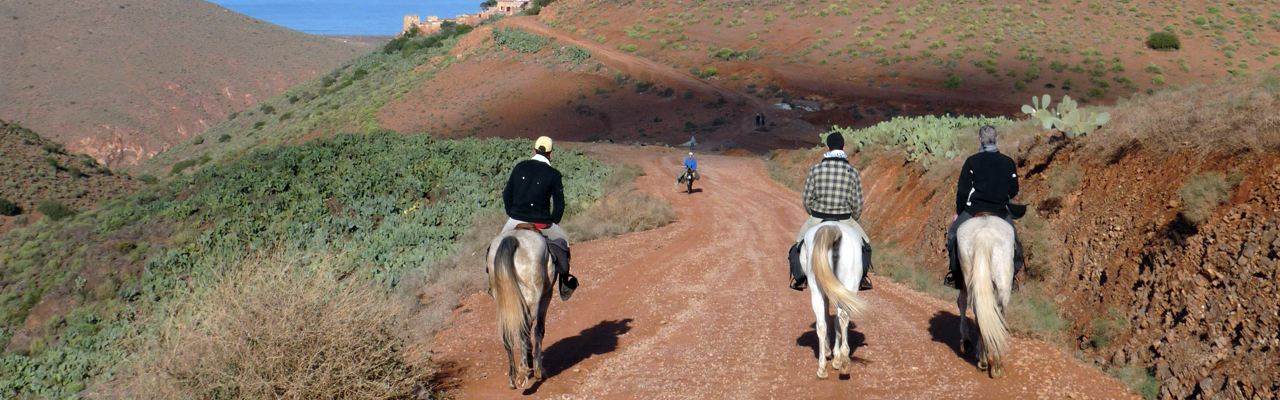 Voyage à cheval - Randonnée équestre organisée par Randocheval