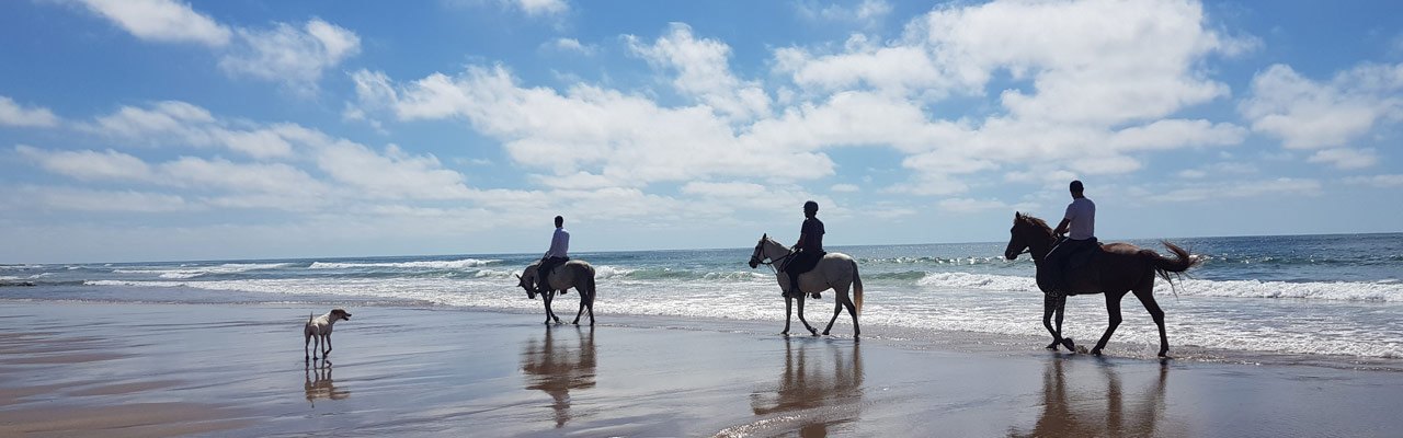 Voyage à cheval - Randonnée équestre organisée par Randocheval