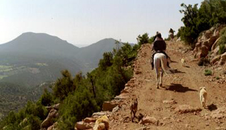 Randonnée équestre au Maroc dans l'Atlas - RANDOCHEVAL