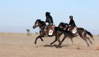 Randonnée équestre dans le désert du Sahara (Maroc ) Rando Cheval / Absolu Voyages