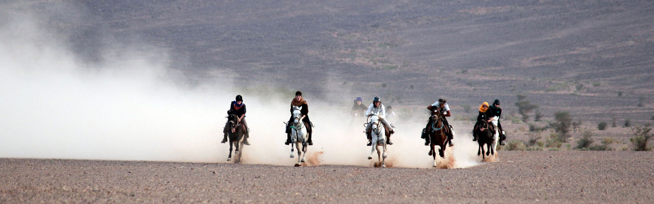 Voyage à cheval - Randonnée équestre organisée par Randocheval