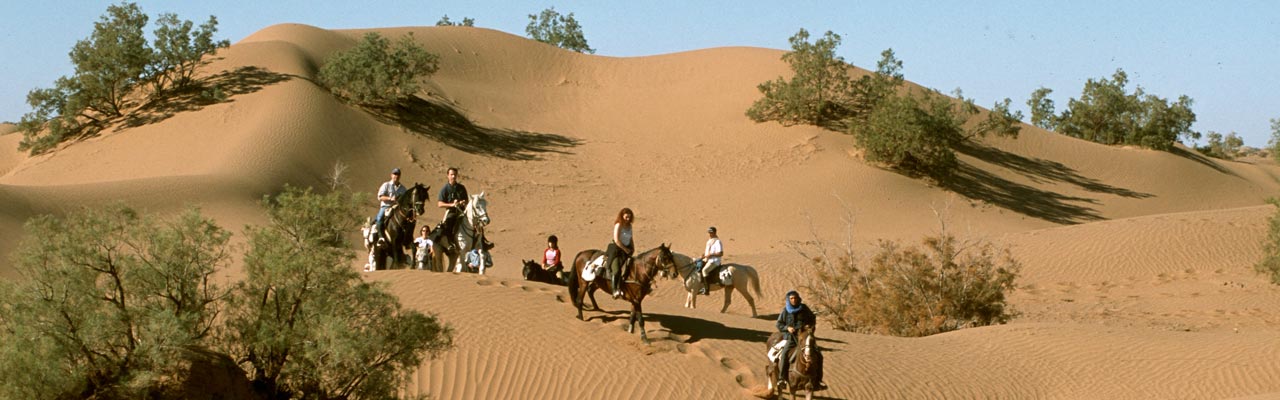 Voyage et aventure à cheval dans le désert - Rando Cheval