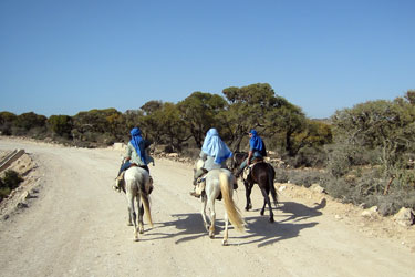 Rando Cheval - Voyage à cheval