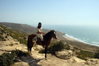 Rando Cheval - Voyage à cheval