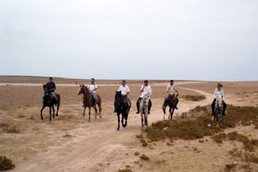 Rando Cheval - Voyage à cheval