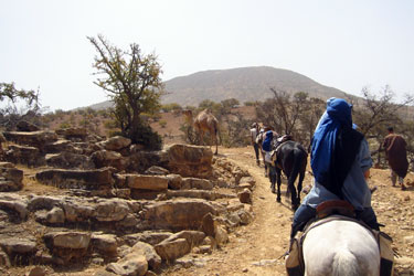 Rando Cheval - Voyage à cheval