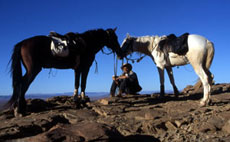 Maroc, album photos de nos randonnées équestres dans le Sahara - Absolu Voyages - Rando Cheval