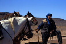 Maroc, album photos de nos randonnées équestres dans le Sahara - Absolu Voyages - Rando Cheval