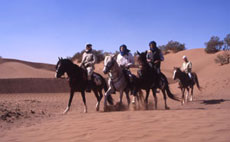 Maroc, album photos de nos randonnées équestres dans le Sahara - Absolu Voyages - Rando Cheval