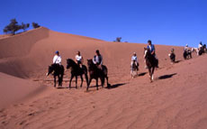 Maroc, album photos de nos randonnées équestres dans le Sahara - Absolu Voyages - Rando Cheval