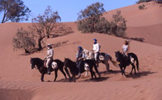 Maroc, album photos de nos randonnées équestres dans le Sahara - Absolu Voyages - Rando Cheval