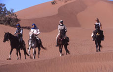 Maroc, album photos de nos randonnées équestres dans le Sahara - Absolu Voyages - Rando Cheval