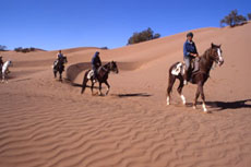 Maroc, album photos de nos randonnées équestres dans le Sahara - Absolu Voyages - Rando Cheval