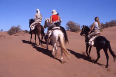 Maroc, album photos de nos randonnées équestres dans le Sahara - Absolu Voyages - Rando Cheval