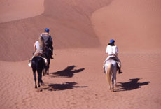 Maroc, album photos de nos randonnées équestres dans le Sahara - Absolu Voyages - Rando Cheval