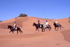 Maroc, album photos de nos randonnées équestres dans le Sahara - Absolu Voyages - Rando Cheval