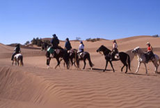 Maroc, album photos de nos randonnées équestres dans le Sahara - Absolu Voyages - Rando Cheval