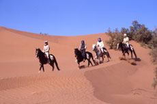 Maroc, album photos de nos randonnées équestres dans le Sahara - Absolu Voyages - Rando Cheval