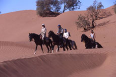 Maroc, album photos de nos randonnées équestres dans le Sahara - Absolu Voyages - Rando Cheval