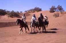 Maroc, album photos de nos randonnées équestres dans le Sahara - Absolu Voyages - Rando Cheval