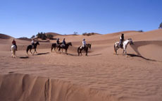 Maroc, album photos de nos randonnées équestres dans le Sahara - Absolu Voyages - Rando Cheval