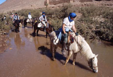 Maroc, album photos de nos randonnées équestres dans le Sahara - Absolu Voyages - Rando Cheval