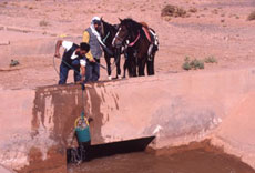 Maroc, album photos de nos randonnées équestres dans le Sahara - Absolu Voyages - Rando Cheval