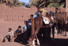 Maroc, album photos de nos randonnées équestres dans le Sahara - Absolu Voyages - Rando Cheval