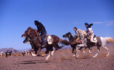 Maroc, album photos de nos randonnées équestres dans le Sahara - Absolu Voyages - Rando Cheval