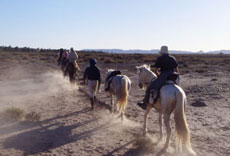 Maroc, album photos de nos randonnées équestres dans le Sahara - Absolu Voyages - Rando Cheval