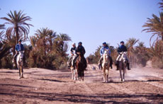 Maroc, album photos de nos randonnées équestres dans le Sahara - Absolu Voyages - Rando Cheval