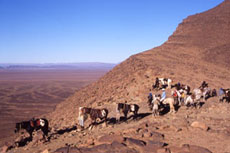 Maroc, album photos de nos randonnées équestres dans le Sahara - Absolu Voyages - Rando Cheval