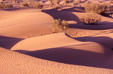 Maroc, album photos de nos randonnées équestres dans le Sahara - Absolu Voyages - Rando Cheval